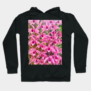 Pink Epiphytic Orchid (Dendrobium anosmum) Hoodie